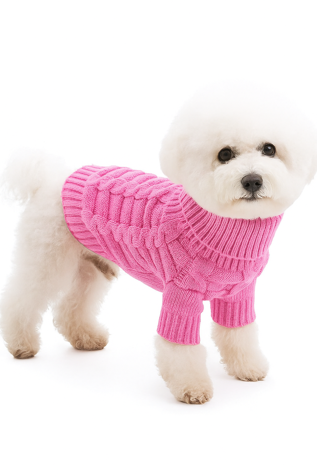 CASHMERE